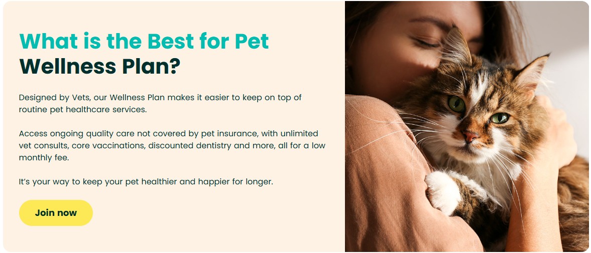 What is best for pet