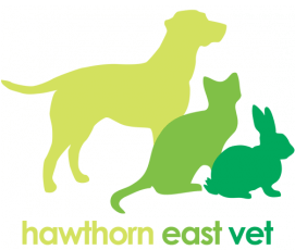 Hawthorn East Vet