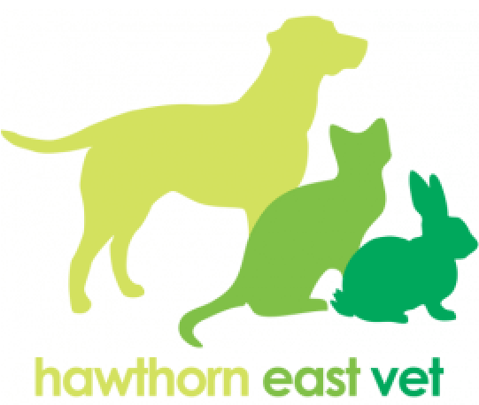 Hawthorn East Vet